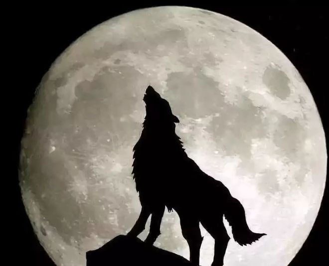 媒介国际化_媒介体系是什么_以USDT为媒介的未来国际交易体系